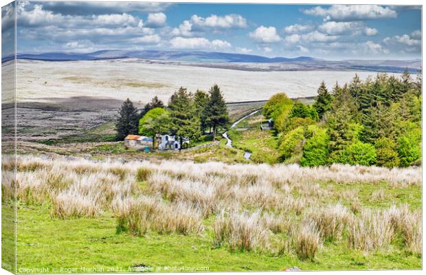 Princetown's Lush Moorland View Canvas Print by Roger Mechan
