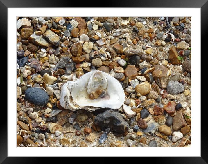 Oyster Shell at West Mersea Framed Mounted Print by John Bridge