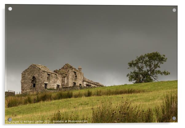 High Stonygill Farm Ruins (1) Acrylic by Richard Laidler