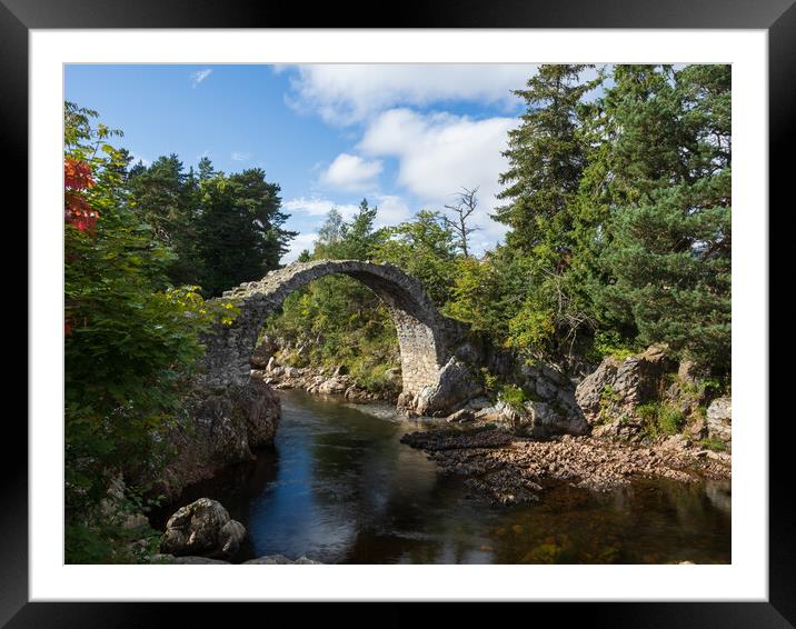 The Old Packhorse Bridge, Carrbridge, Scotland. Framed Mounted Print by Tommy Dickson