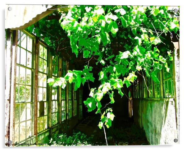 Abandoned Greenhouse Acrylic by Stephanie Moore