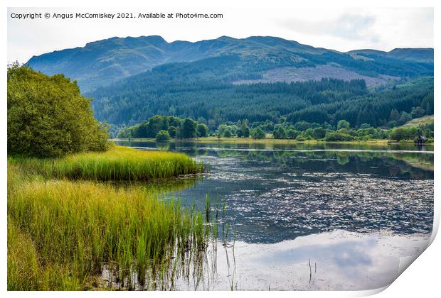 Loch Lubnaig reeds Print by Angus McComiskey