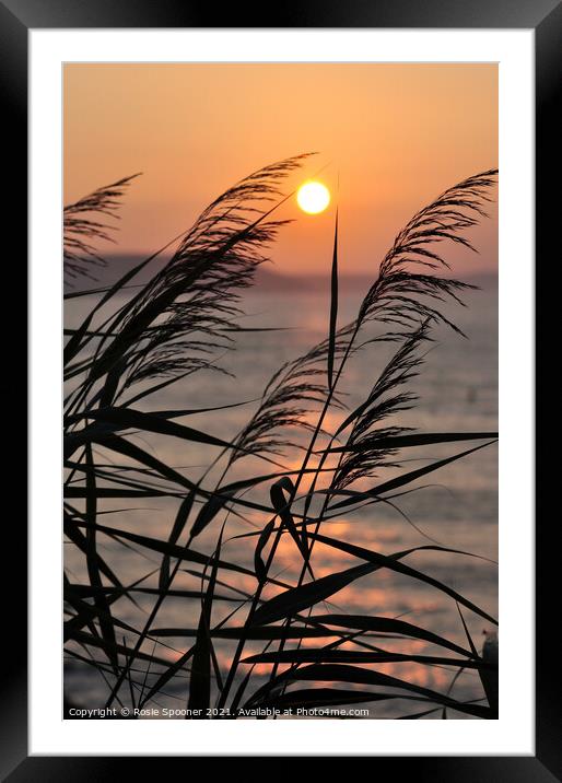 Peaceful sunrise in Looe Cornwall Framed Mounted Print by Rosie Spooner