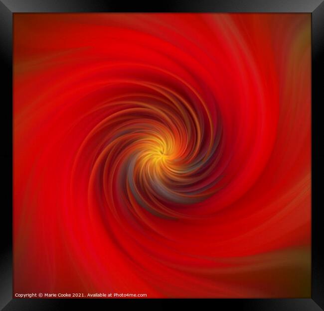 Poppy twirl Framed Print by Marie Cooke