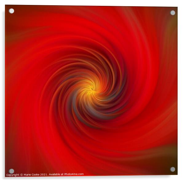 Poppy twirl Acrylic by Marie Cooke