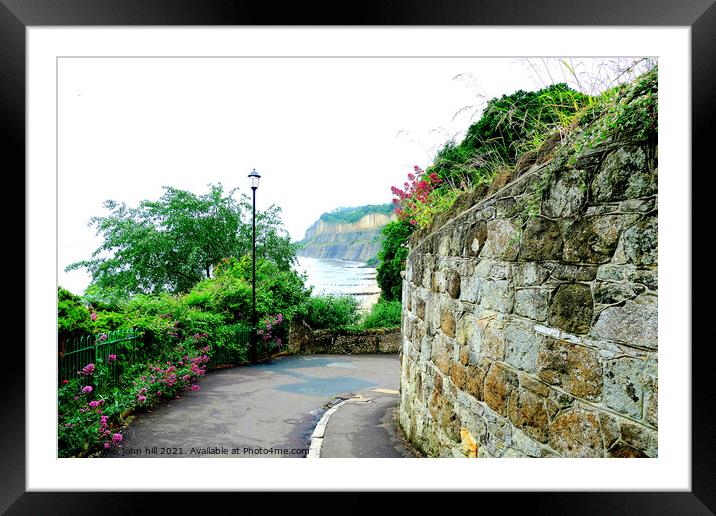 Cliff Path, Shanklin, Isle of Wight. Framed Mounted Print by john hill