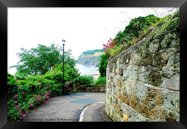 Cliff Path, Shanklin, Isle of Wight. Framed Print by john hill