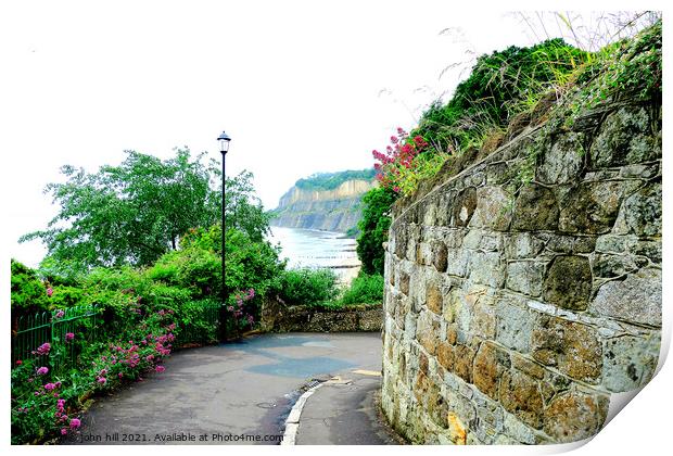 Cliff Path, Shanklin, Isle of Wight. Print by john hill