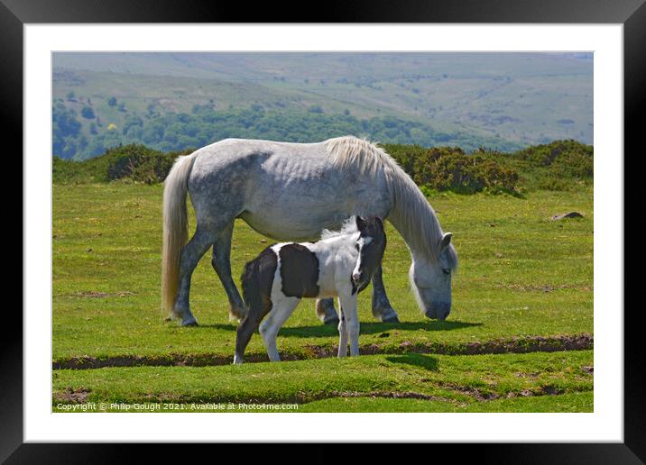 Outdoor grass Framed Mounted Print by Philip Gough