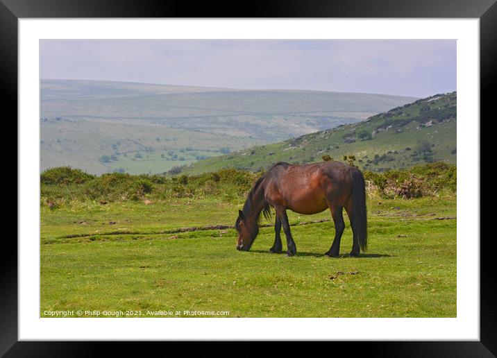A horse standing on top of a lush green field Framed Mounted Print by Philip Gough