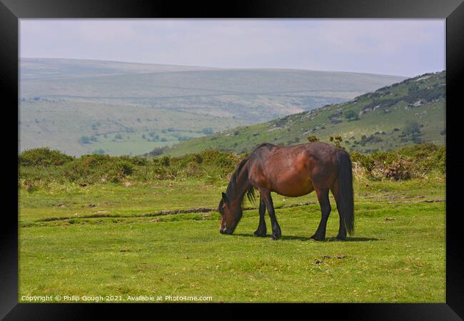 A horse standing on top of a lush green field Framed Print by Philip Gough