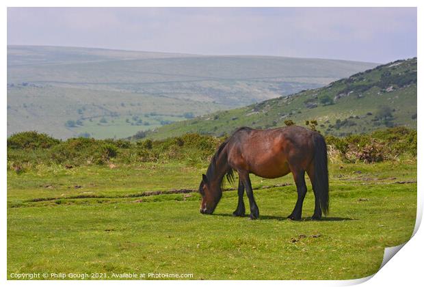 A horse standing on top of a lush green field Print by Philip Gough
