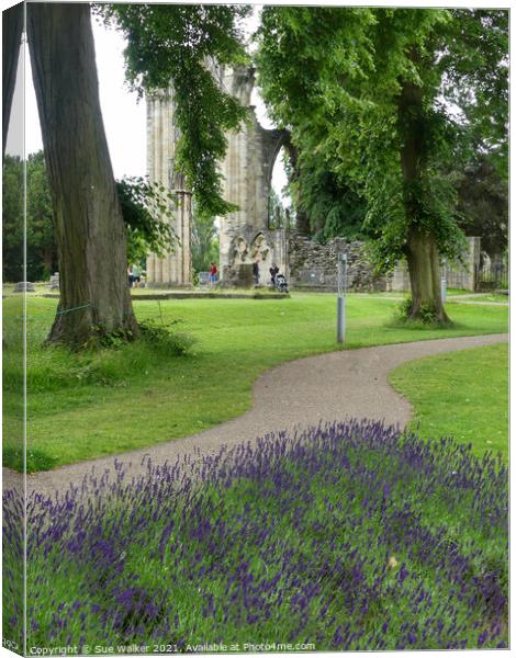 St Mary’s Abbey, York Canvas Print by Sue Walker