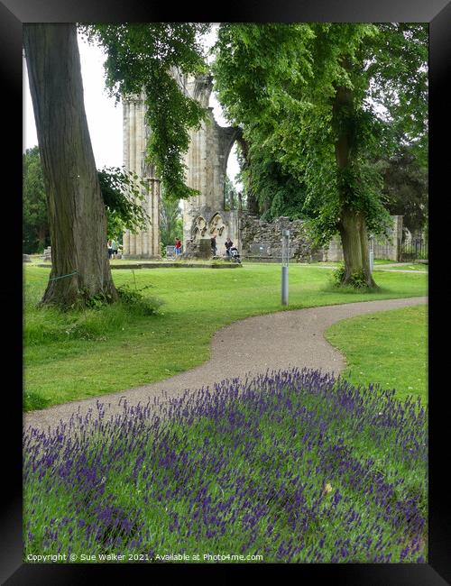 St Mary’s Abbey, York Framed Print by Sue Walker