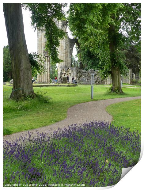 St Mary’s Abbey, York Print by Sue Walker