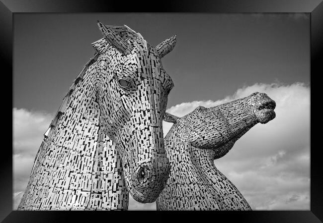 The Kelpies, Falkirk, Scotland Framed Print by Rob Cole