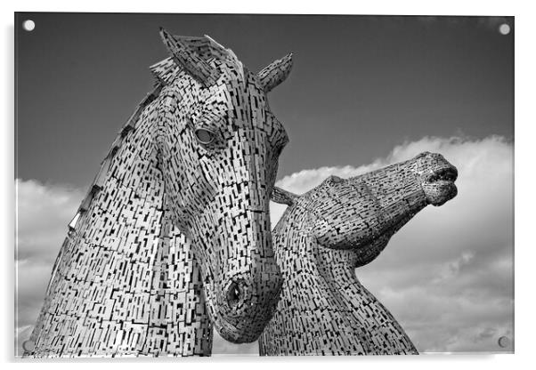 The Kelpies, Falkirk, Scotland Acrylic by Rob Cole