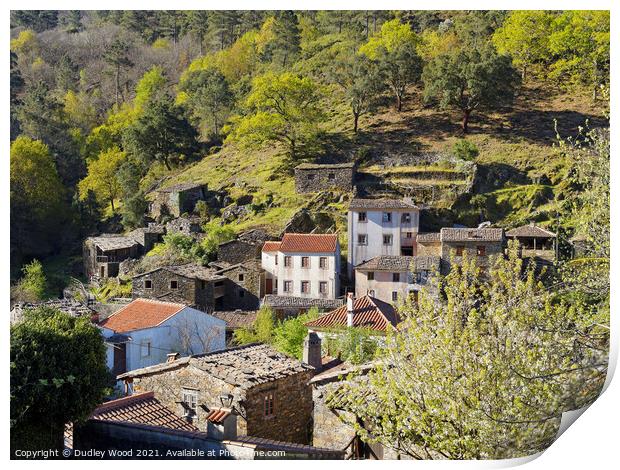 Rustic Charm on Wooded Slope Print by Dudley Wood