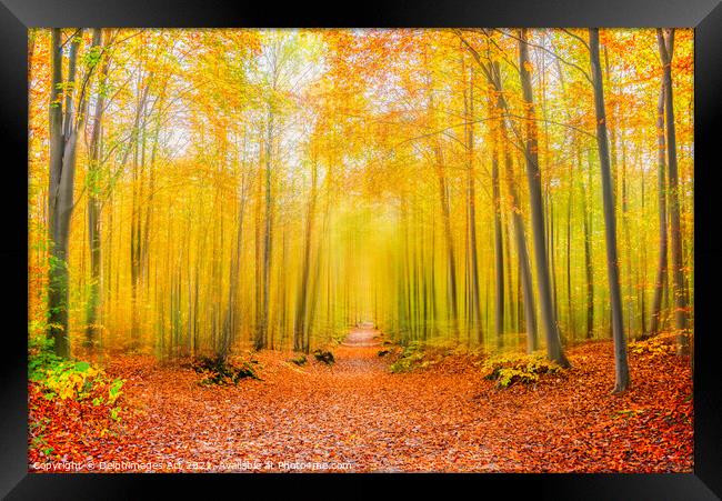 Magical forest path in autumn.  Fall foliage color Framed Print by Delphimages Art