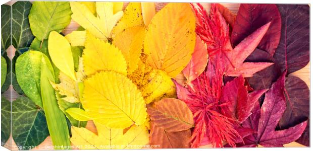 Autumn leaves rainbow colorful foliage still life Canvas Print by Delphimages Art