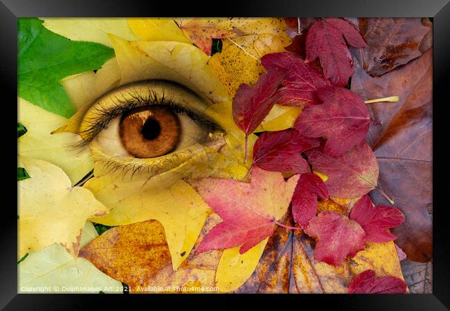 Eye and leaves Autumn surreal  collage Framed Print by Delphimages Art