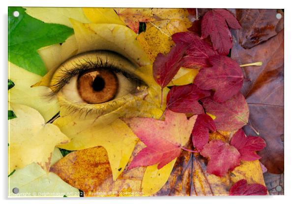 Eye and leaves Autumn surreal  collage Acrylic by Delphimages Art