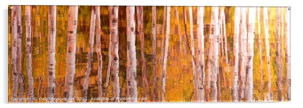 Autumn. Aspen trees reflections, nature abstract Acrylic by Delphimages Art