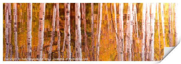 Autumn. Aspen trees reflections, nature abstract Print by Delphimages Art