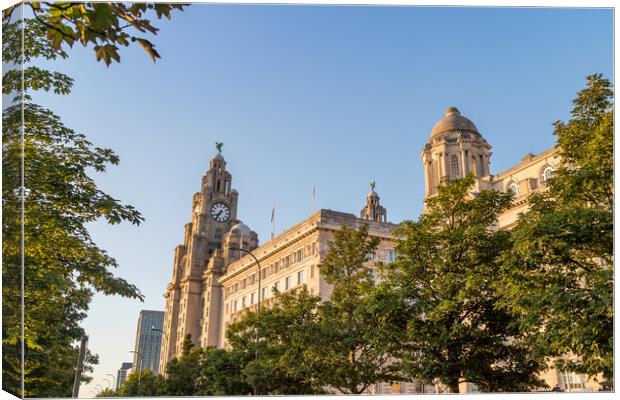 Trees along the Liverpool waterfront Canvas Print by Jason Wells
