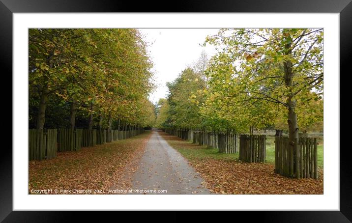 Autumn Walk Framed Mounted Print by Mark Chesters