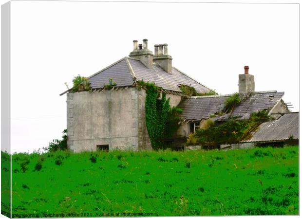 Abandoned house in the rain Canvas Print by Stephanie Moore