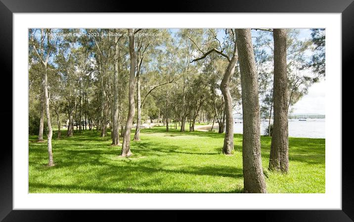 Waterfront parkland with Oak Trees Framed Mounted Print by Geoff Childs