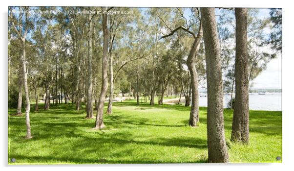 Waterfront parkland with Oak Trees Acrylic by Geoff Childs