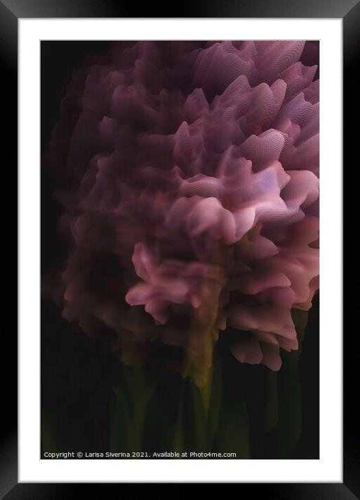 Hyacinth background Framed Mounted Print by Larisa Siverina