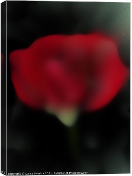 Abstract red rose Canvas Print by Larisa Siverina