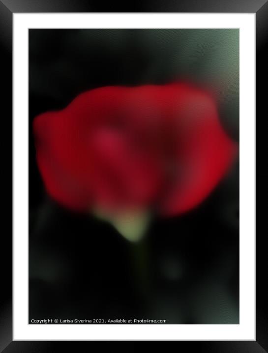 Abstract red rose Framed Mounted Print by Larisa Siverina