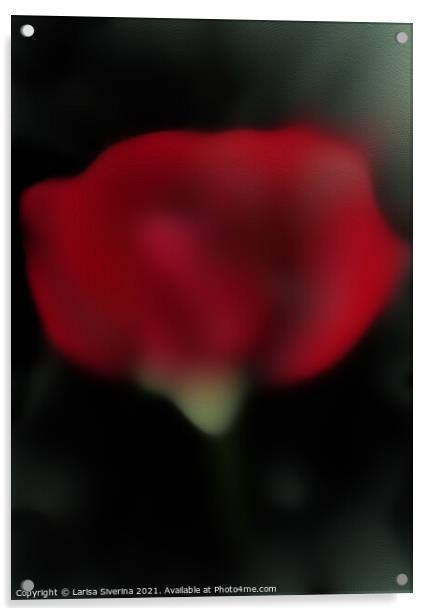 Abstract red rose Acrylic by Larisa Siverina