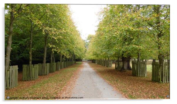 Serene Autumn Path Acrylic by Mark Chesters