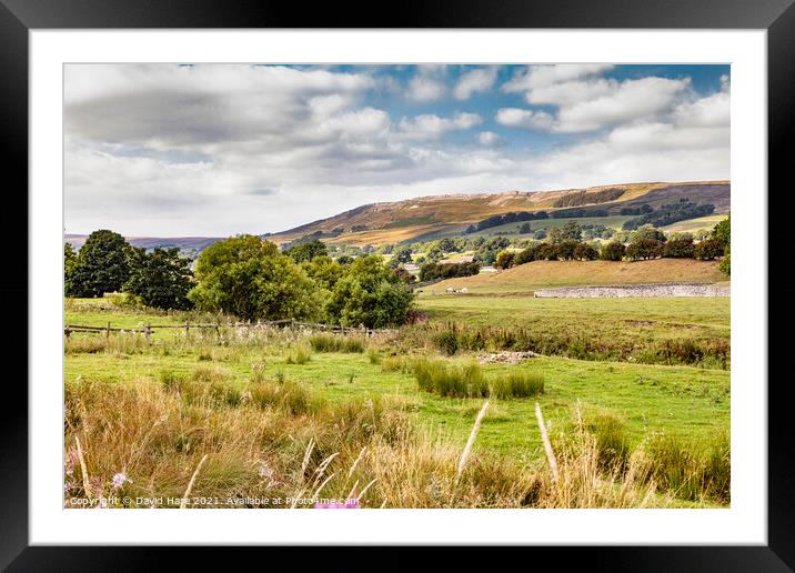 Yorkshire Dales Framed Mounted Print by David Hare
