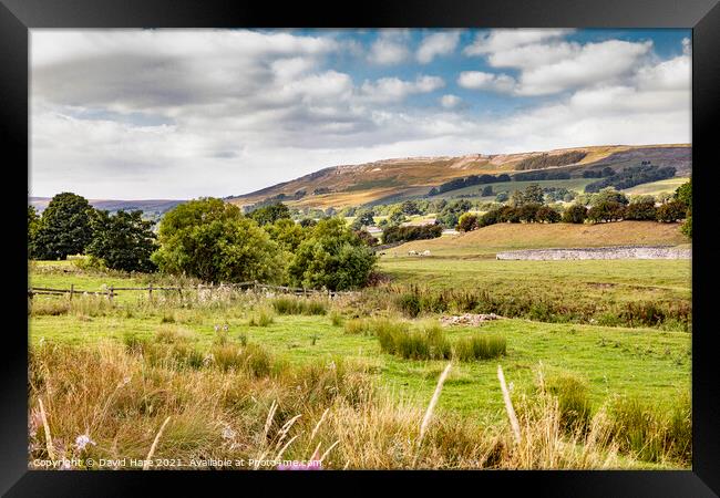 Yorkshire Dales Framed Print by David Hare