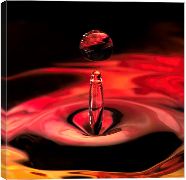 Waterdrops Canvas Print by Kevin Elias