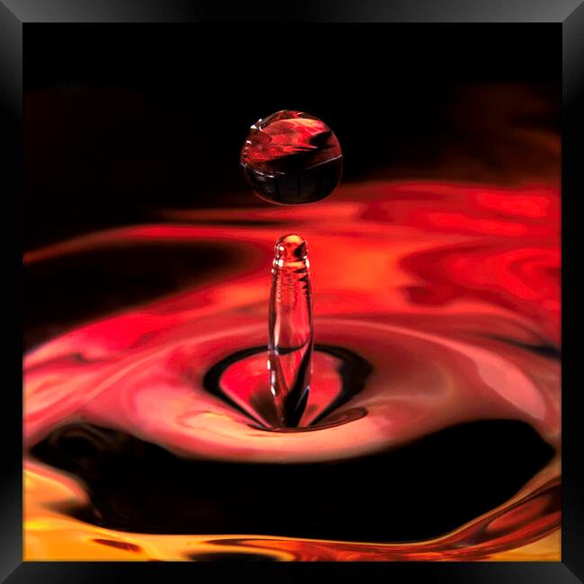 Waterdrops Framed Print by Kevin Elias