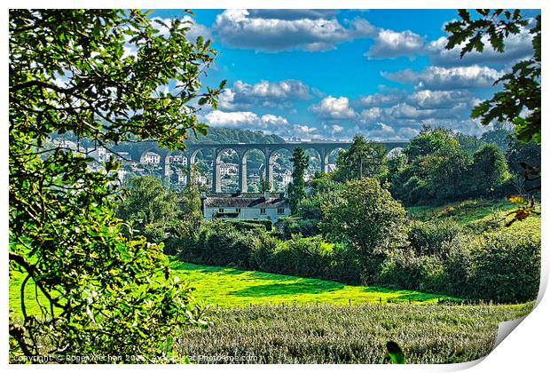 Arched Beauty over River Tamar Print by Roger Mechan