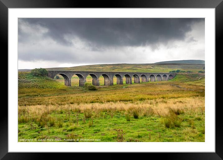 Dandrymire viaduct. Framed Mounted Print by David Hare
