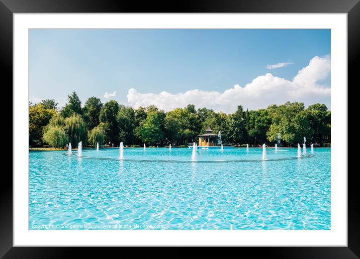 Singing Fountains in Plovdiv Framed Mounted Print by Sanga Park