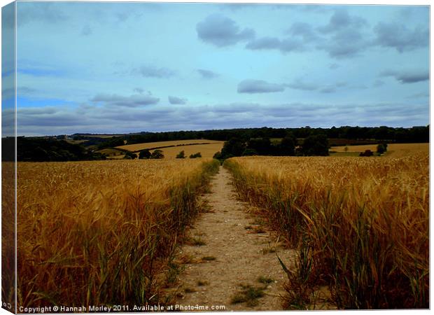 Sixpenny Handley, Wiltshire Canvas Print by Hannah Morley