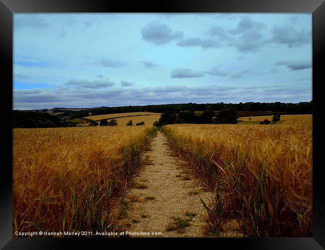 Sixpenny Handley, Wiltshire Framed Print by Hannah Morley