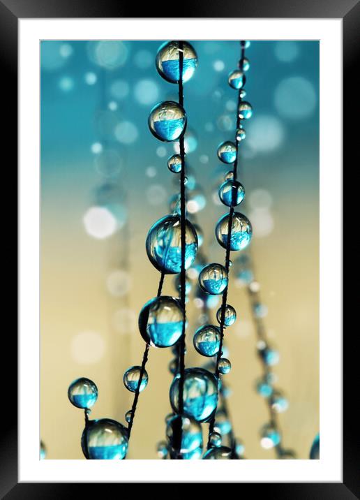 Grass Seed in Blue Sparkle II Framed Mounted Print by Sharon Johnstone