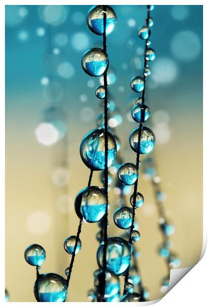 Grass Seed in Blue Sparkle II Print by Sharon Johnstone