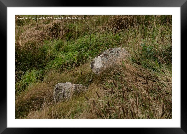 Teddy bear in the grass Framed Mounted Print by kathy white